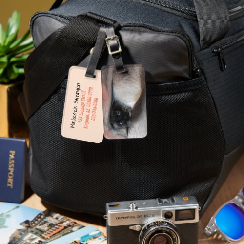 Peeking Blue Eyed Siamese Kitten Under Blanket Luggage Tag