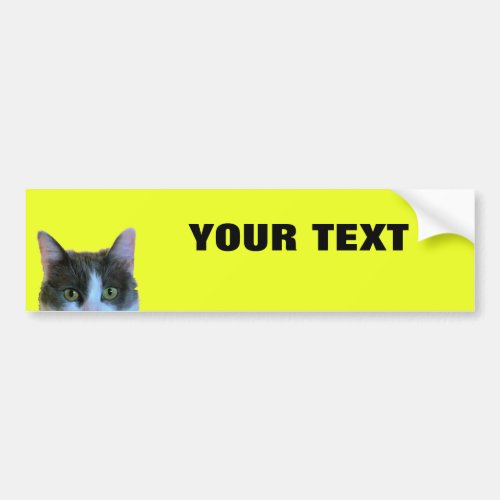 Peeking Cat Your Text Folio Extra Bold on Yellow Bumper Sticker