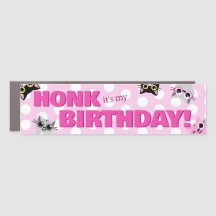 Peeking Cats Pink Polka Dot