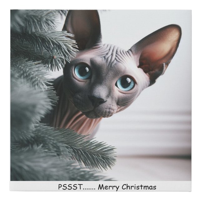 Peeking Christmas Sphynx  Faux Canvas Print (Front)