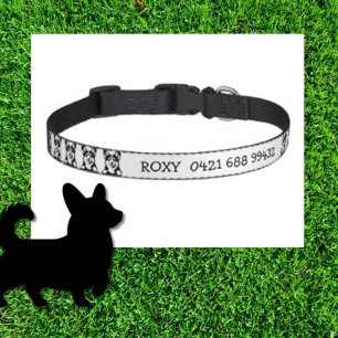 Peeking Corgi Personalized Theme  Pet Collar