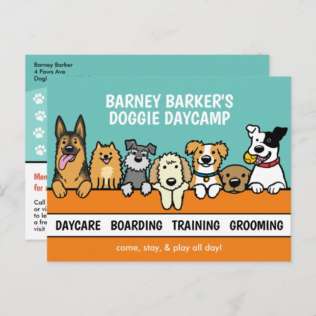 Peeking Dogs Pet Care Cute Business Promotional Postcard (Front/Back)