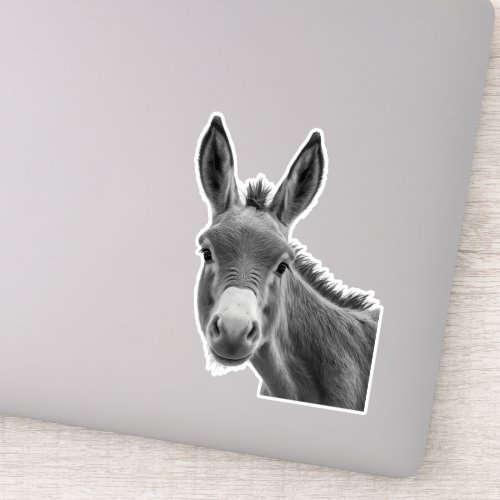 Peeking Donkey Funny  Sticker