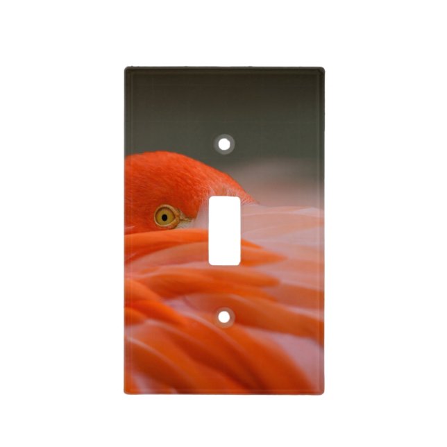 Peeking Flamingo Light Switch Cover (Front)