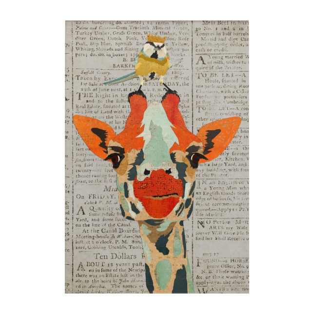 PEEKING GIRAFFE & LITTLE CROWNED BIRD ACRYLIC PRINT (Front)