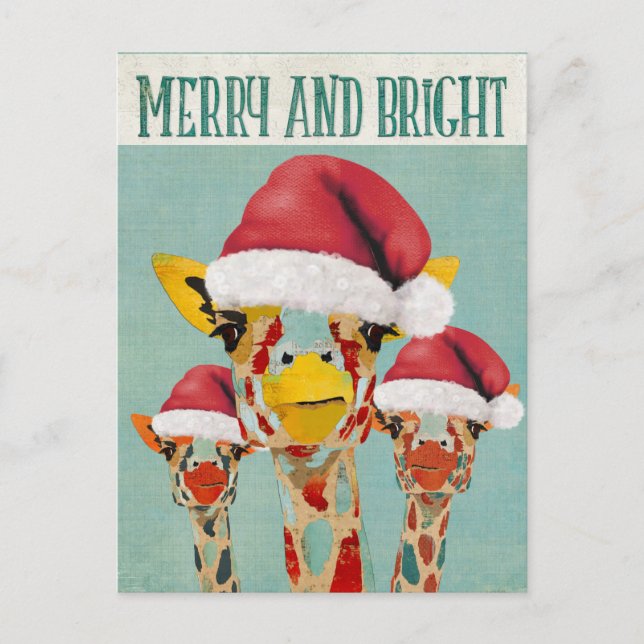 Peeking Giraffes Christmas Postcard (Front)