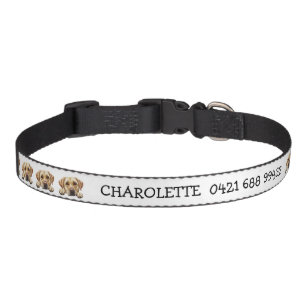 Peeking Golden Labrador Personalized Pet Collar