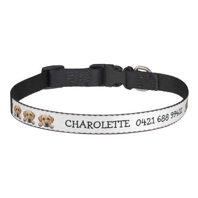 Peeking Golden Labrador Personalized Pet Collar (Front)