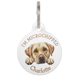 Peeking Golden Labrador Puppy Personalized Pet ID Tag
