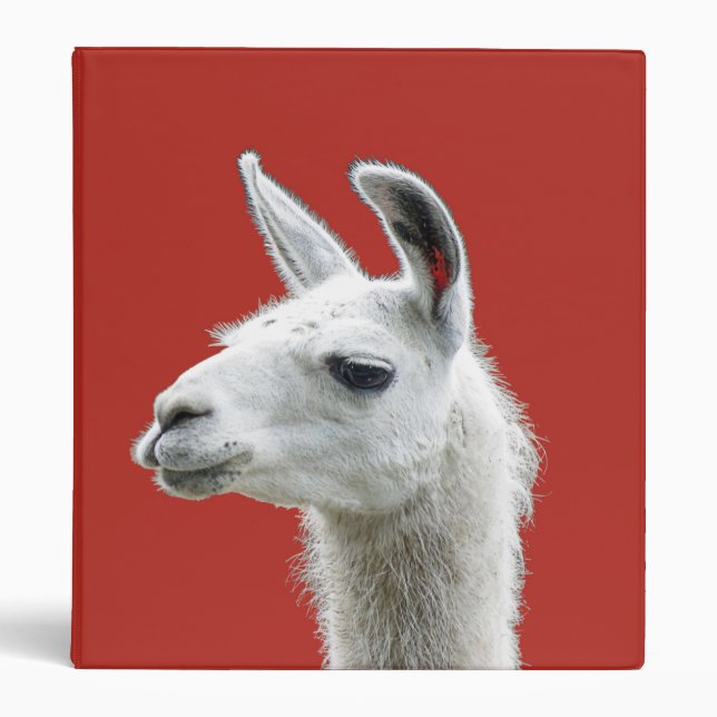Peeking Llama Portrait on a Deep Red Background 3 Ring Binder (Front)