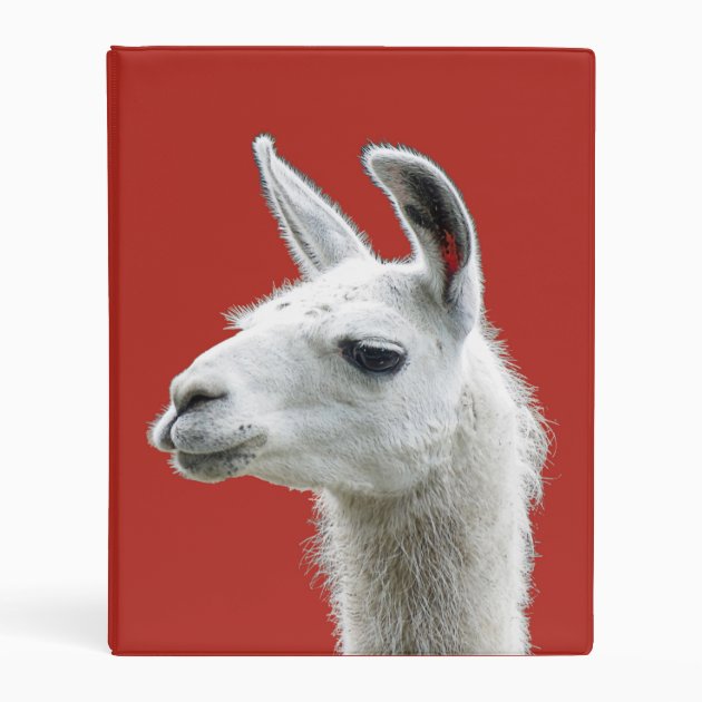 Peeking Llama Portrait on a Deep Red Background Mini Binder | Zazzle