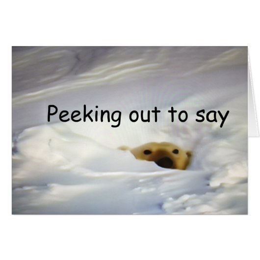 "PEEKING OUT TO SAY" (BLANK CARD) (Front Horizontal)