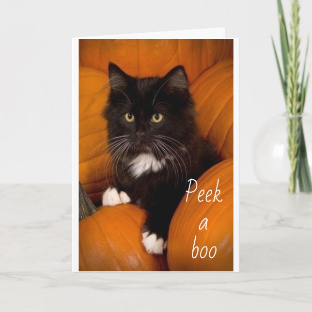 PEEKING OUT TO SAY **HAPPY 4th BIRTHDAY** to YOU  Card (Front)