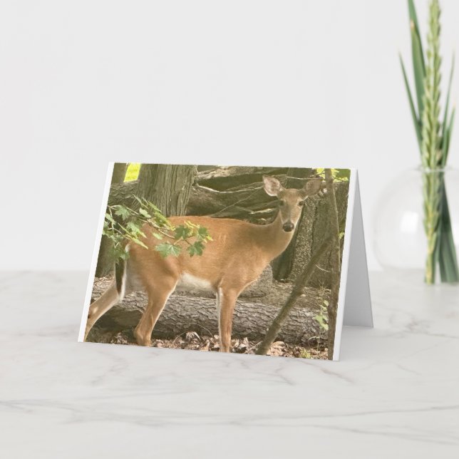 "PEEKING OUT TO SAY HAPPY BIRTHDAY" CARD (Front)