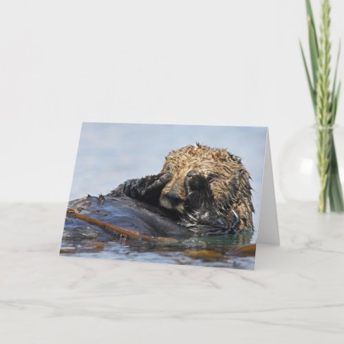 Peeking Sea Otter Card