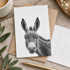 Peeking Sneaky Donkey Cute  Postcard