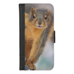 Peeking Squirrel iPhone 8/7 Wallet Case