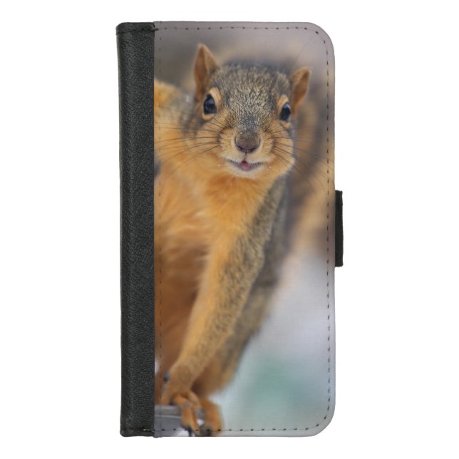 Peeking Squirrel iPhone Wallet Case (Front)