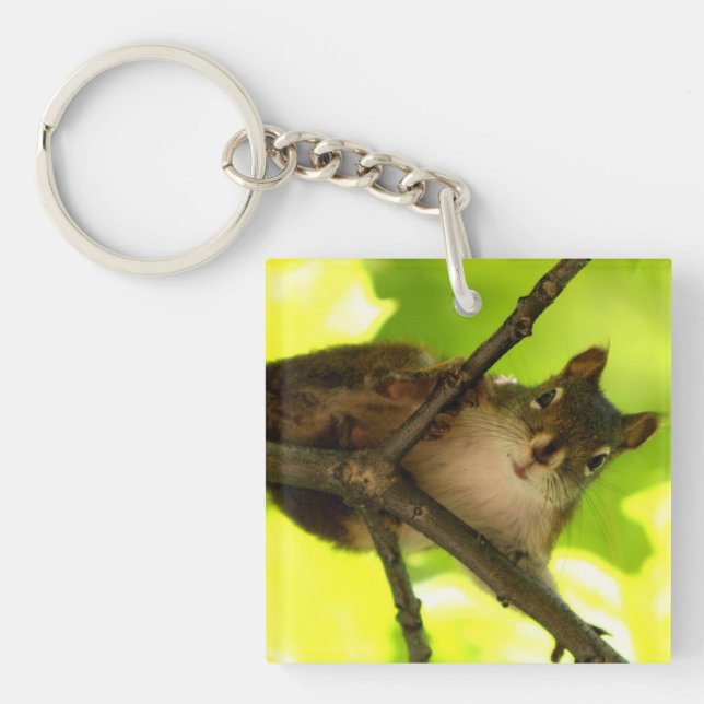 Peeking Squirrel Keychain (Front)