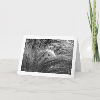 Peeking Through the Grass | Blank Card