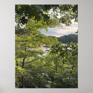 Peeking through the Trees Poster