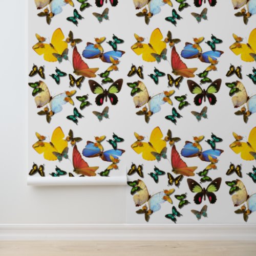 Peel Stick Yellow Orange Blue Butterflies Pattern Wallpaper