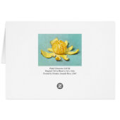 Peeled Clementine Still-life (Back Horizontal)