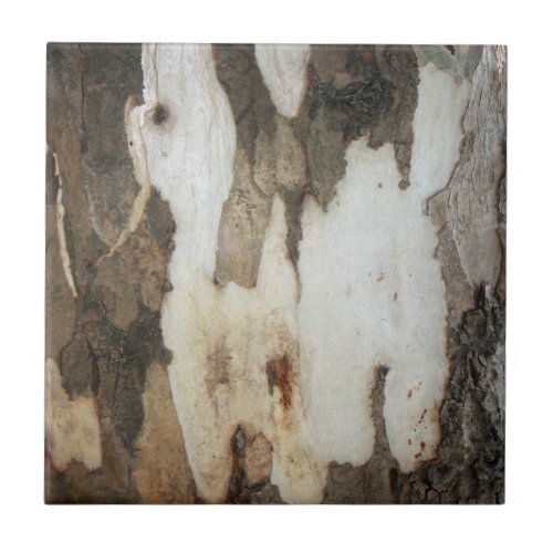 Peeling Bark Of A Eucalyptus Gum Tree Ceramic Tile