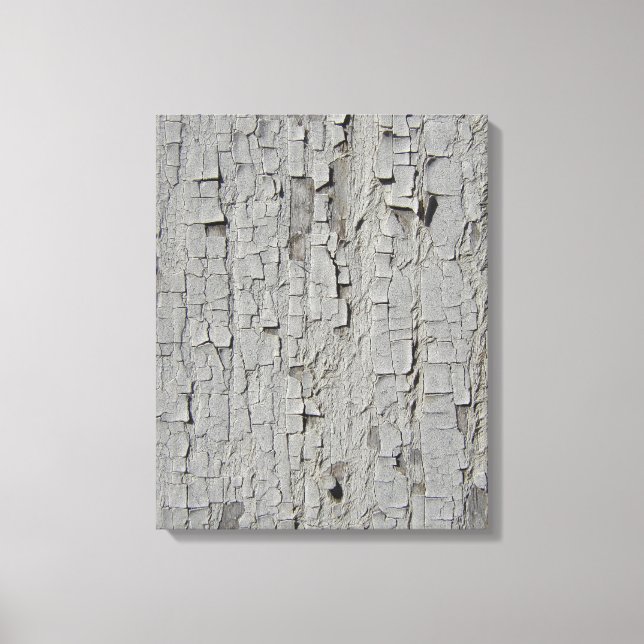 Peeling Barn Paint Canvas Print (Front)