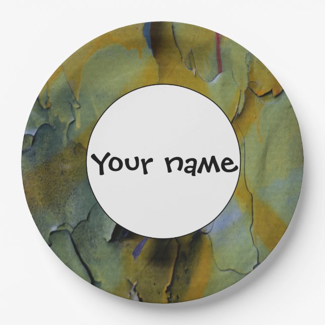 Peeling paint paper plates (Front)