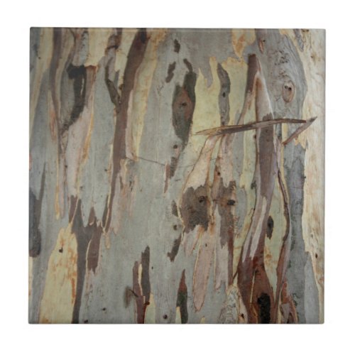 Peeling Patterns Of Eucalyptus Bark Ceramic Tile