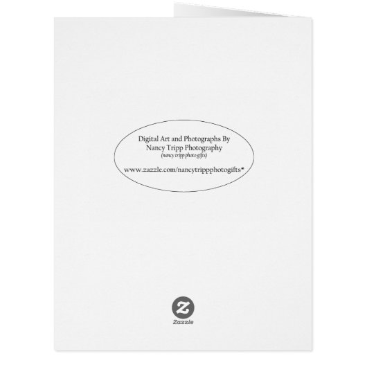 Peeling White Paint Abstract (Back)