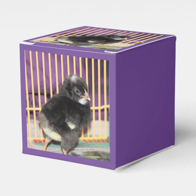 Peep Favor Boxes (Front Side)