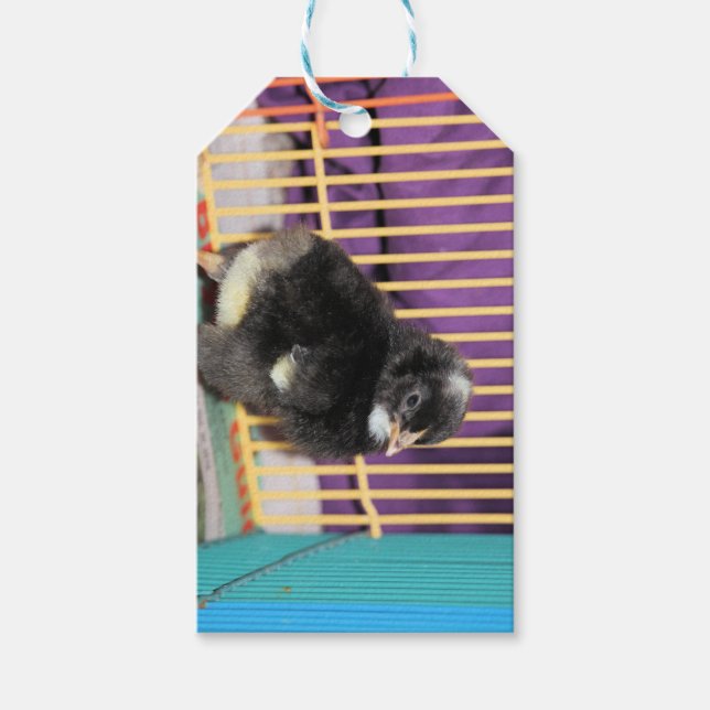 Peep Gift Tags (Front)