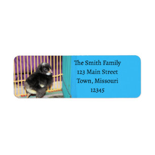 Peep Label
