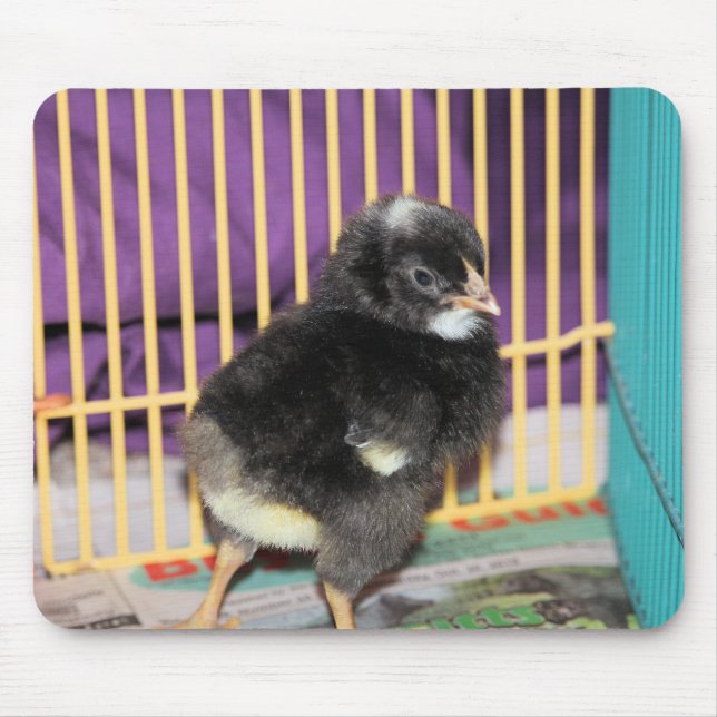 Peep Mouse Pad (Front)