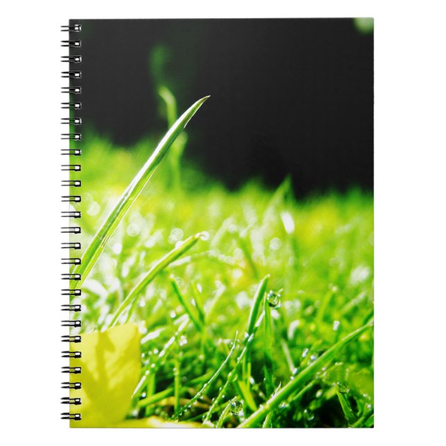 peep notebook (Front)