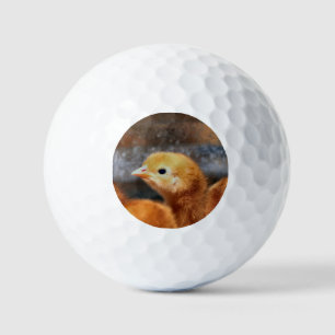 Peep peep golf balls