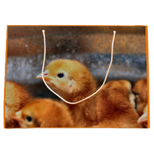 Peep peep large gift bag
