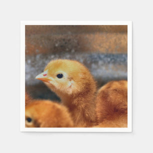 Peep peep napkins