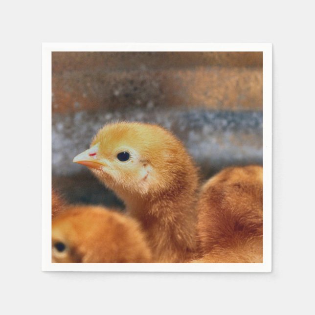 Peep peep napkins (Front)