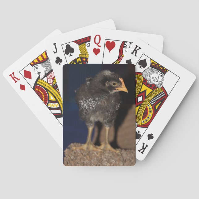 Peep Poker Cards (Back)