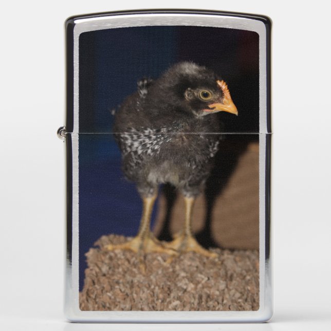 Peep Zippo Lighter (Front)