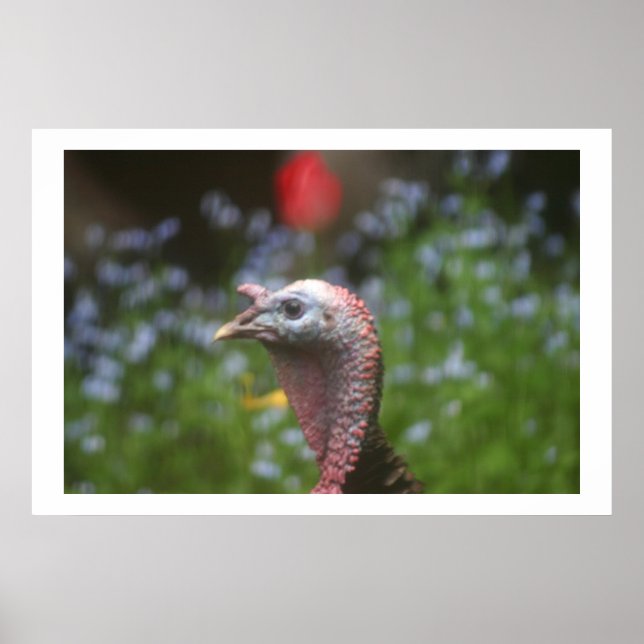 Peeping Tom Poster (Front)