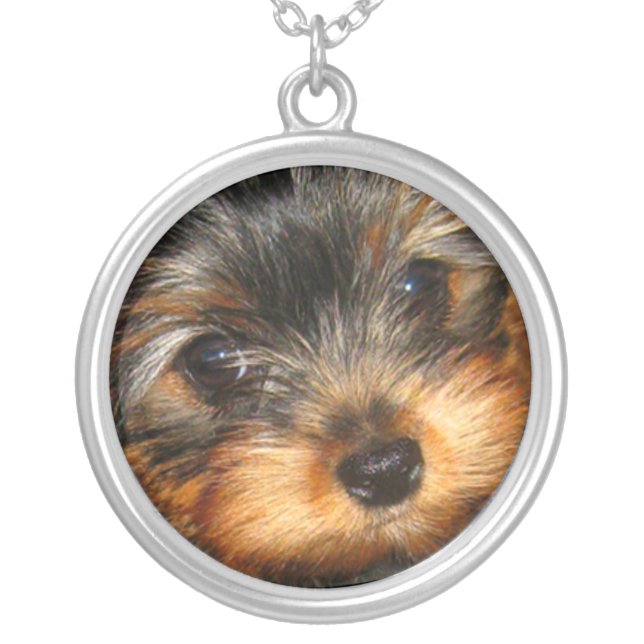 Peeping Yorkie Silver Plated Necklace (Front)