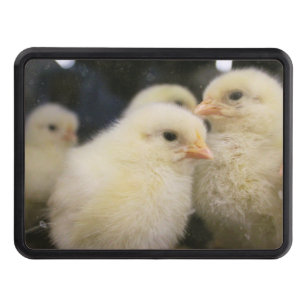 Peeps Hitch Cover