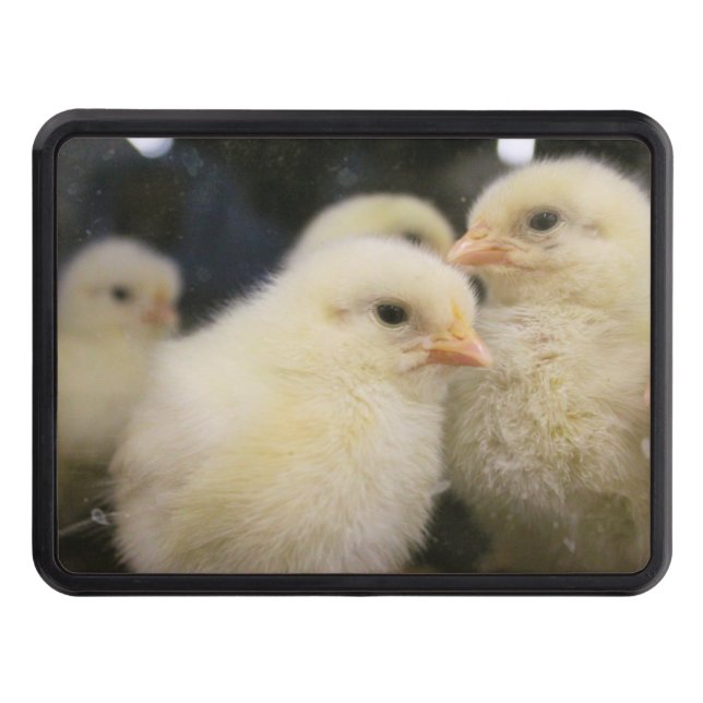 Peeps Hitch Cover (Front)