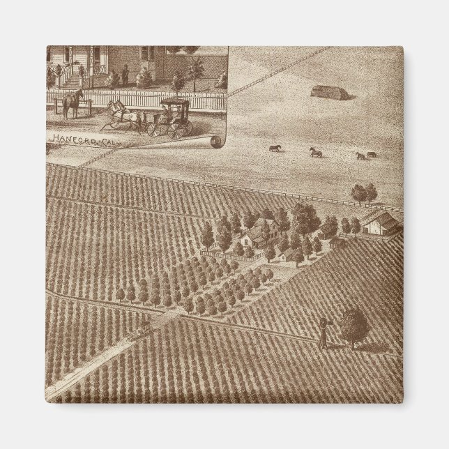Peerless Vineyard, Hanford, Cal Magnet (Front)
