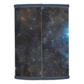 Pegasus and Galaxy Lamp Shade (Back)