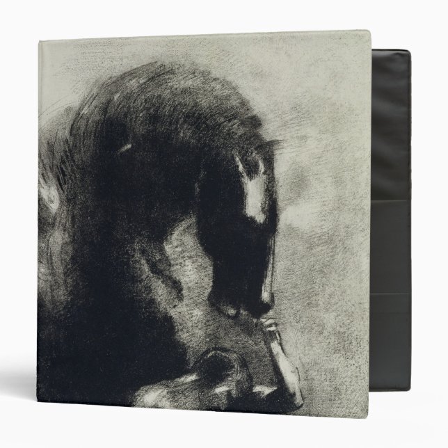 Pegasus Binder (Front/Inside)